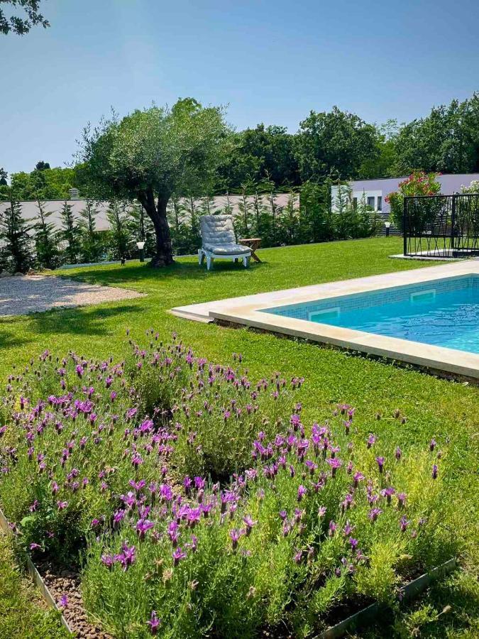 Villa Destiny Nedescina, Istrien, Kroatien מראה חיצוני תמונה